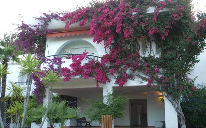 Apulia Hotel Baia Dei Faraglioni