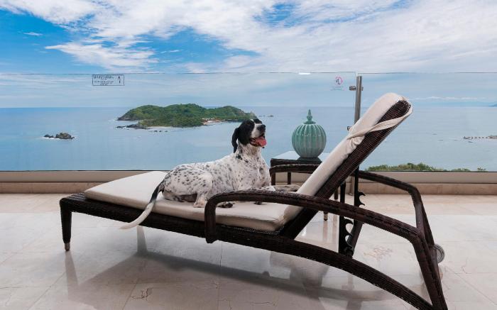 Hotel Azul Ixtapa Grand Resort Spa and Convention Center