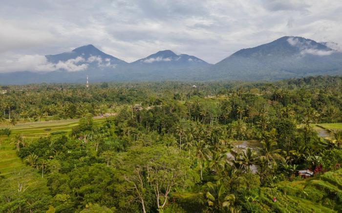 Nadi Nature Resort