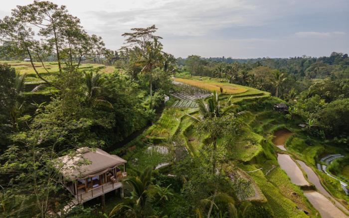Nadi Nature Resort