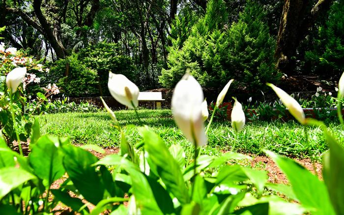 Niraamaya Luxury Private Home Stay, Chickmagalur