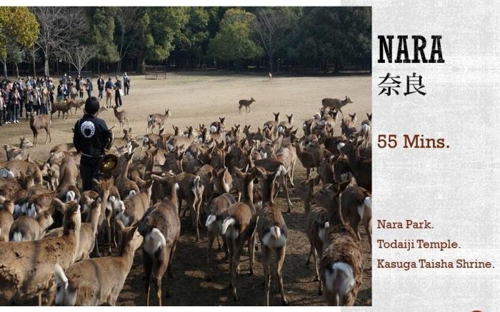 HIFUMI#1202★5m Umeda, near Kyoto. Value & clean!