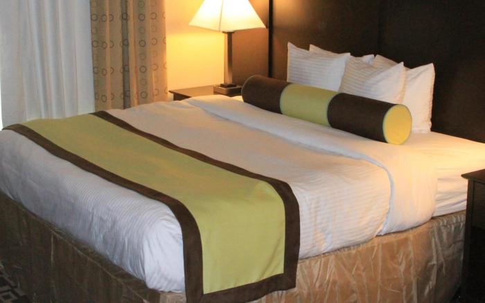 Best Western Plus Arlington North Hotel and Suites