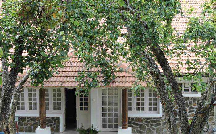 Mount Pleasant Boutique Stay