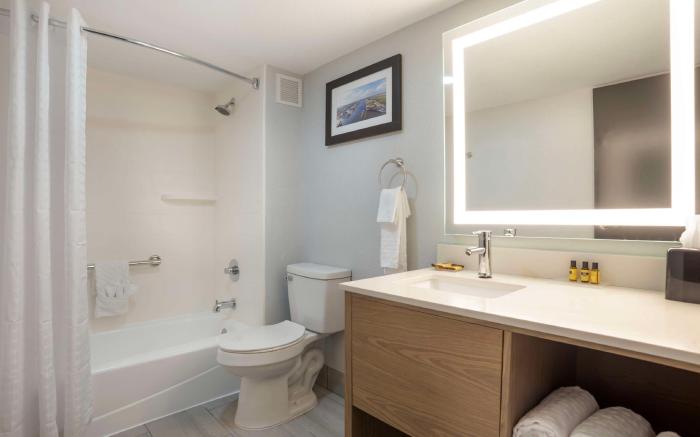 Best Western Plus Mobile Inn & Suites
