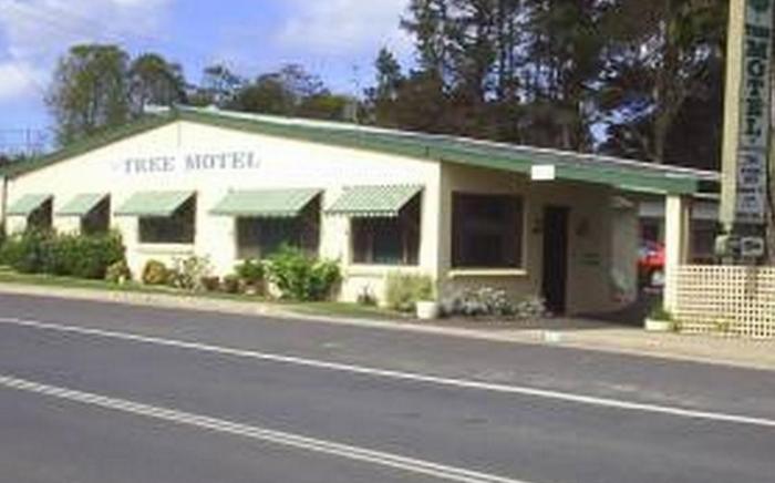 The Tree Motel