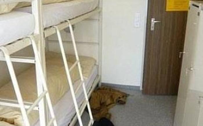 GALAAXY Mountain Hostel