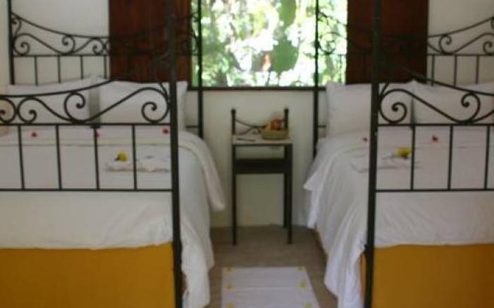 Piedra de Agua Palenque