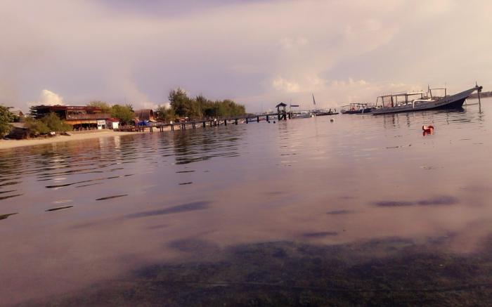 New Corals Homestay 
