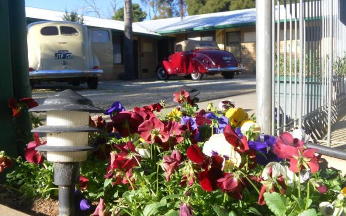 Lone Pine Motel