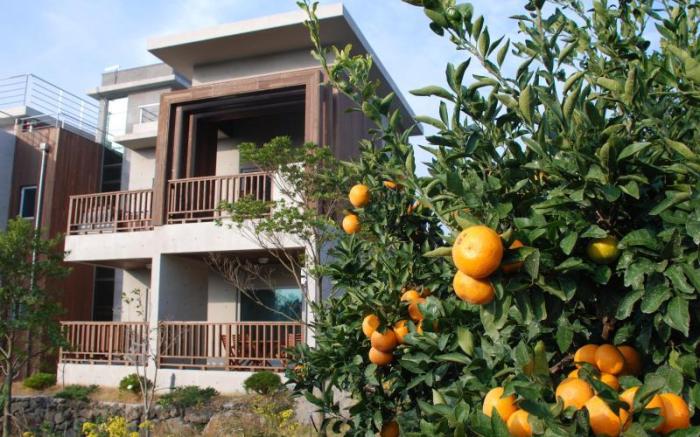 Jejueco Suites