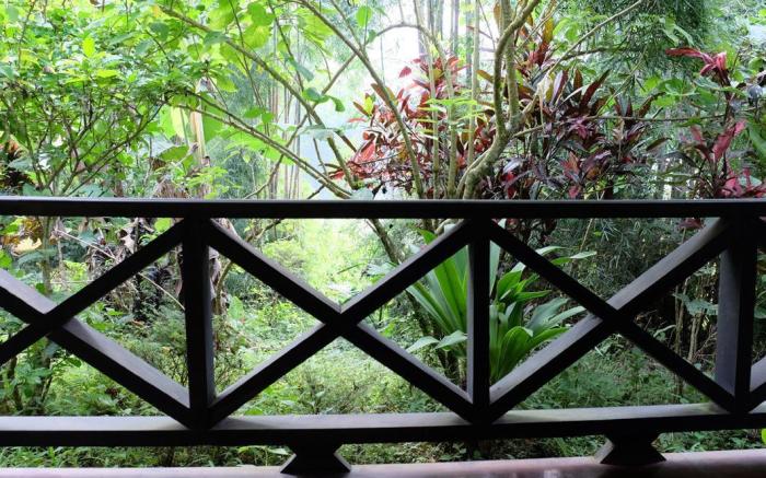 Hillside - Nature Lifestyle Lodge