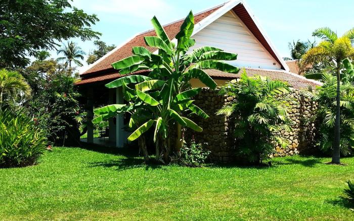 Samanea Beach Resort & Spa