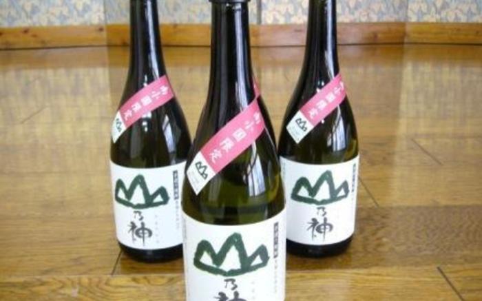 Wafu Ryokan Misato