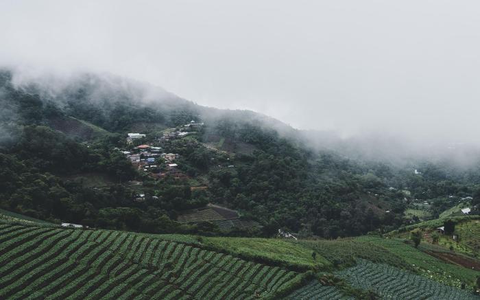 Phudoi Homestay