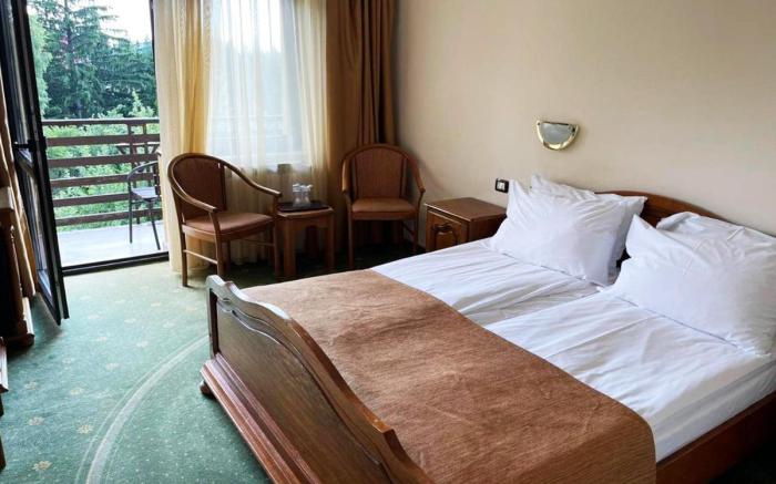 Hotel Ohma - Casa Viorel