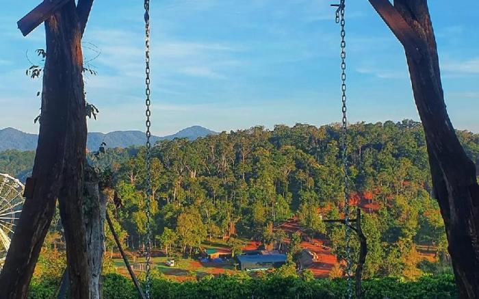 Dambri View Garden-Nha san go tap the