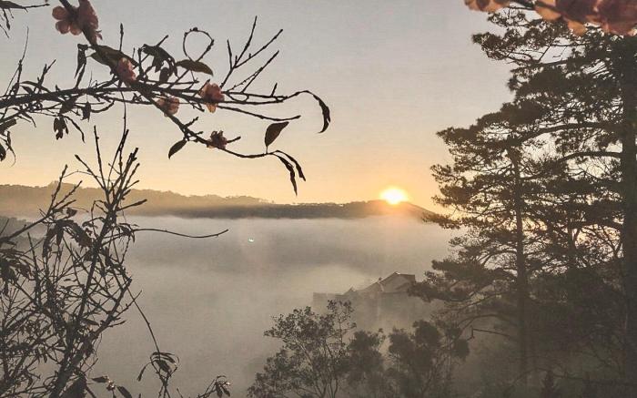 Lengkeng Da Lat Homestay
