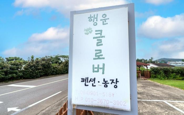Jeju Haengwoon clover