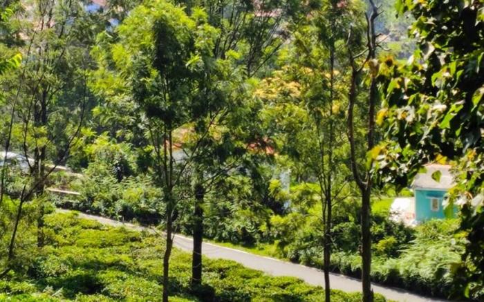 Adithya Sunrise View Cottage