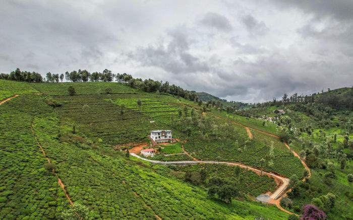 Heavenly Hills