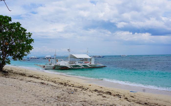 Mabuhay Thresher Dive Resort