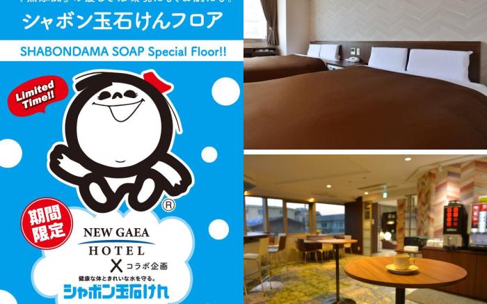 Hotel New Gaea Domemae