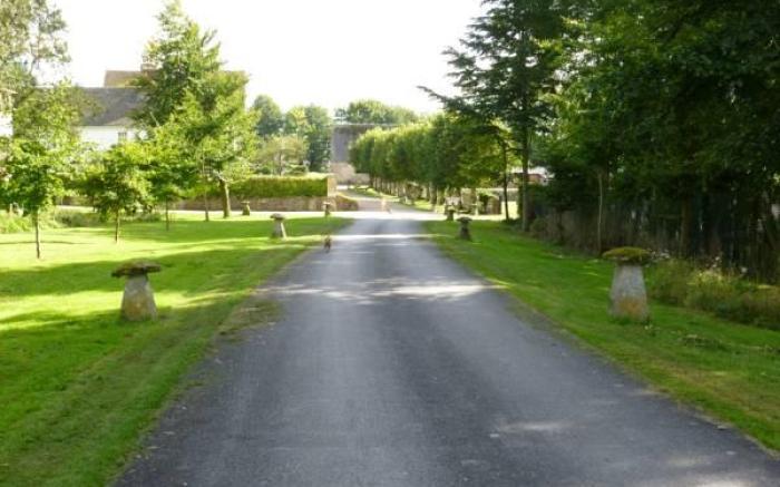 Overtown Manor Bed and Breakfast