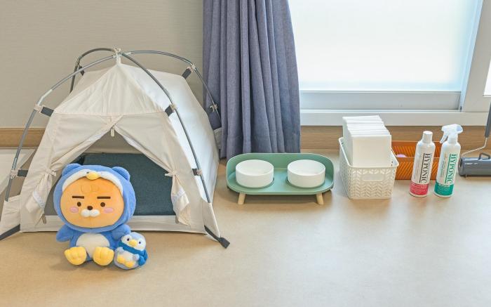 Gapyeong sky aegyeon family dogchae healing pension