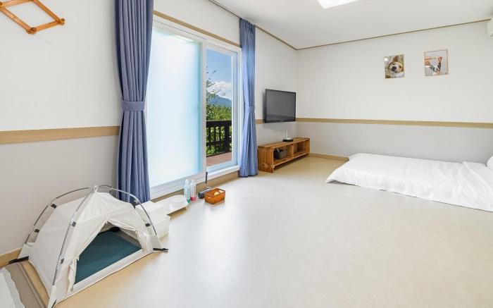 Gapyeong sky aegyeon family dogchae healing pension