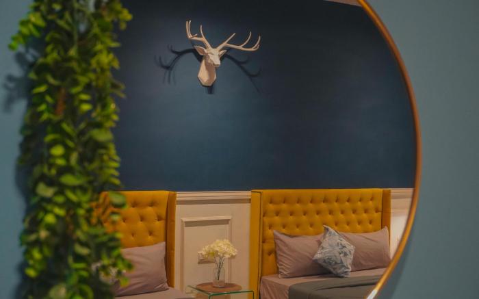 Cozy Studio | Wi-Fi & Netflix | Aeropod Sovo