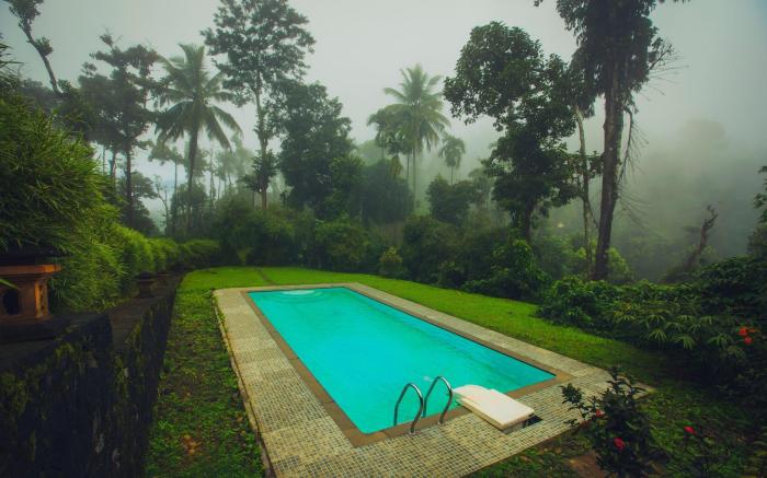 After the Rains - Rainforest Lodge