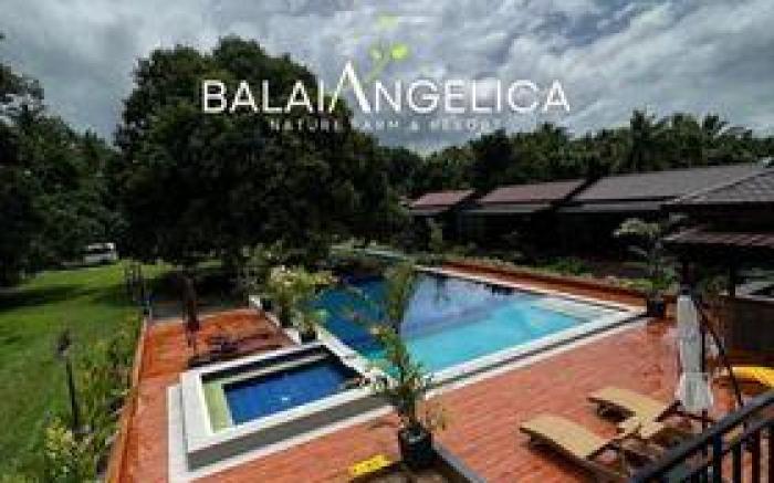 Balai Angelica - Nature Farm & Resort