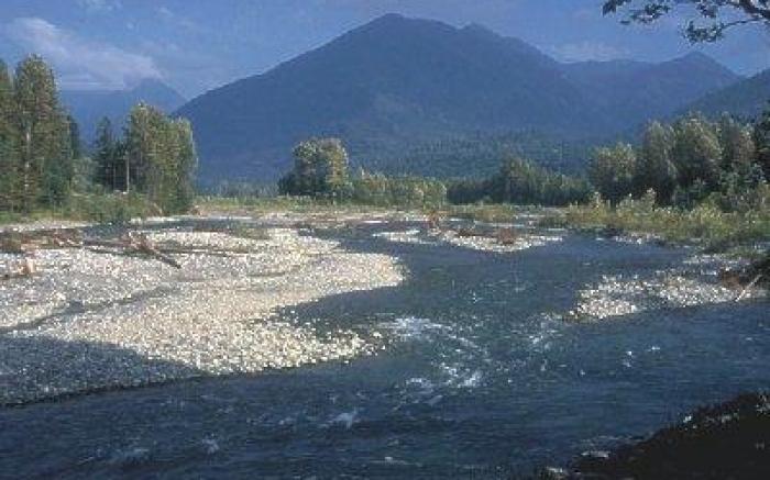 Vedder River Inn