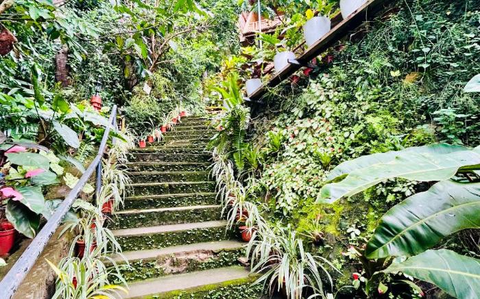 Camiguin Blue Lagoon Cottages