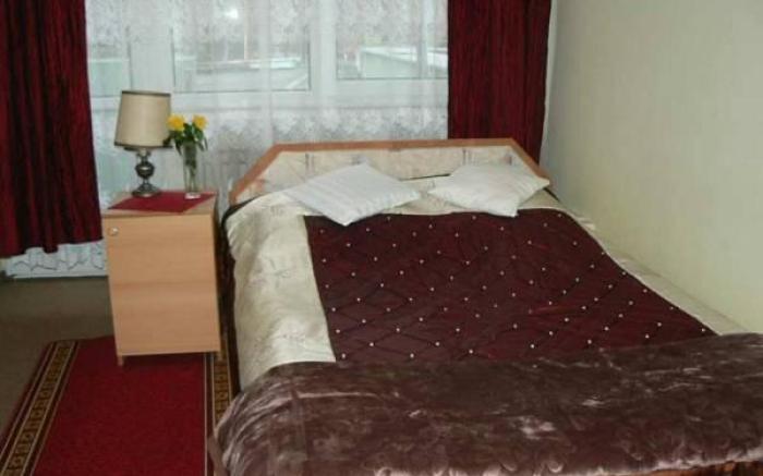 Hotel Snieznik