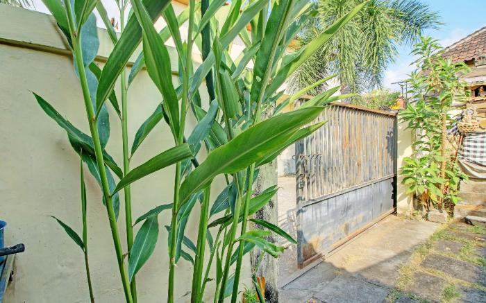 OYO Life 92954 Shanti Kost