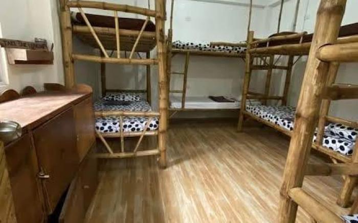 Georgia's Neverland Hostel