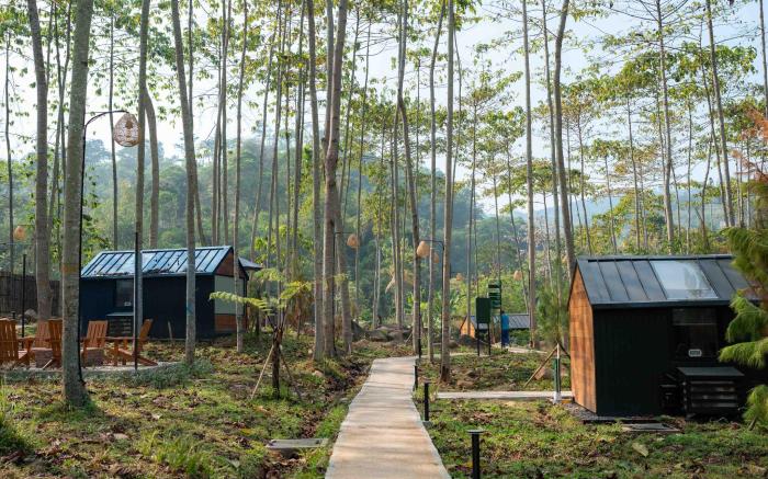 Bobocabin The Tavia, Puncak