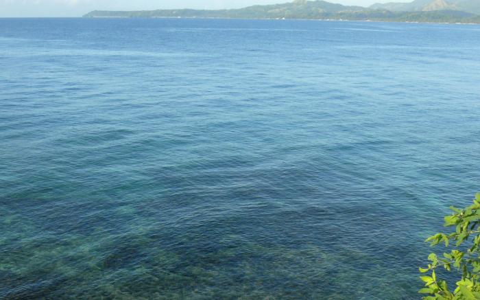 Bohol Lahoy Dive Resort