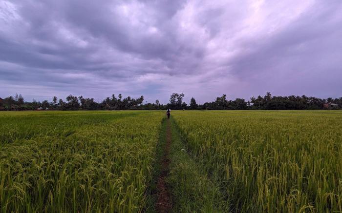 HostelExp, Gokarna - A Slow-Paced Backpackers Community