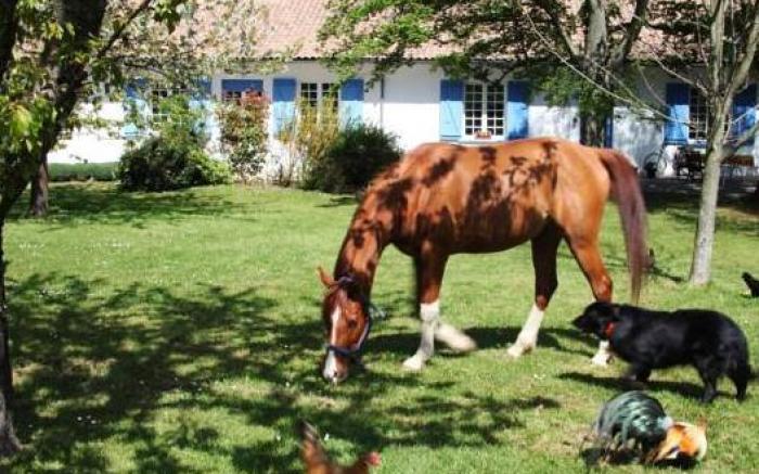 Chambres d'Hotes La Maison Blanche