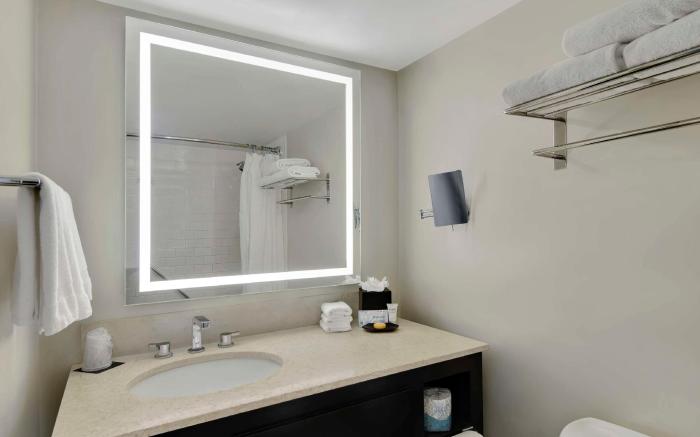 Hotel Tampa Riverwalk