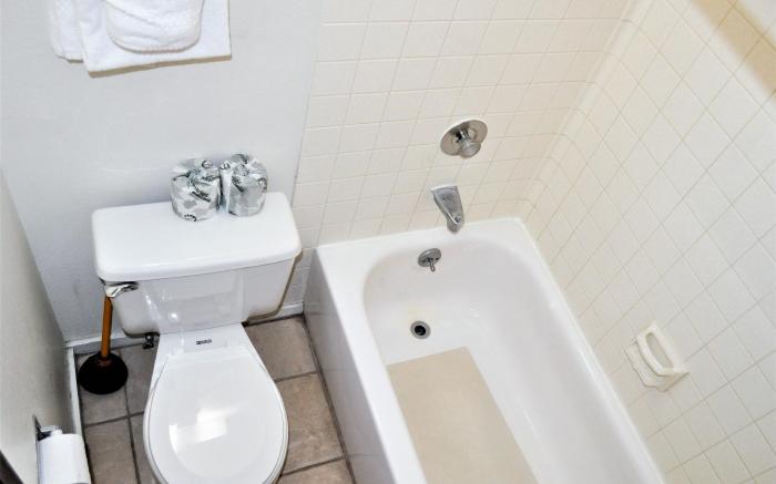 Snowflake 1 Bed plus Den 2 Bath SFAF