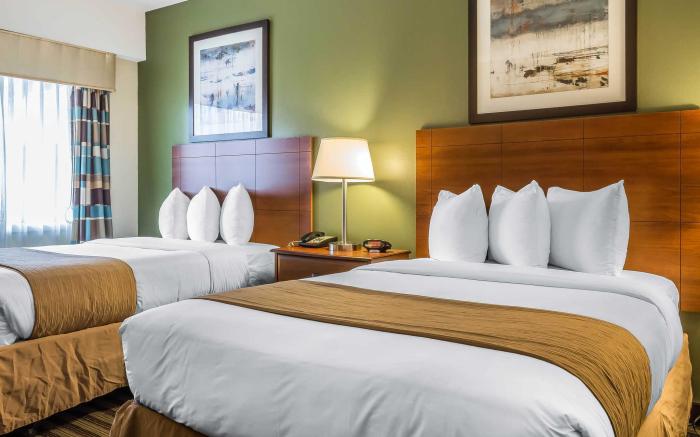 Quality Inn Flamingo