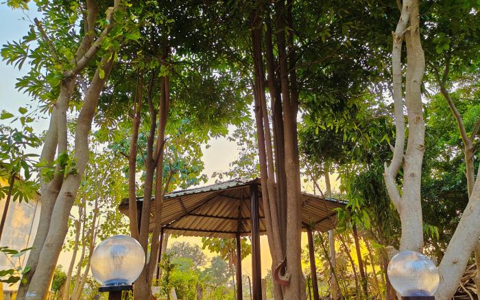 Nature's Lap Resort