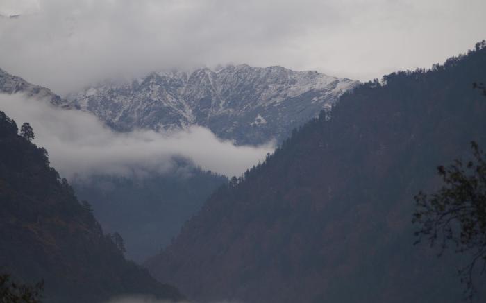Apple Garden katagla Kasol