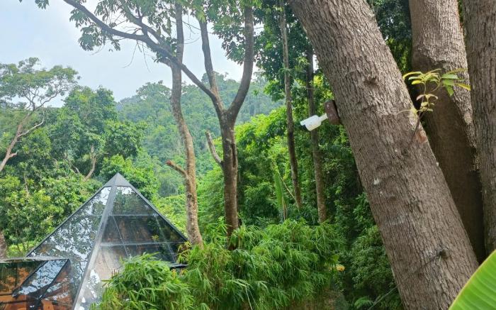 The Glas Pyramid @ Glamping at Karuna El Nido