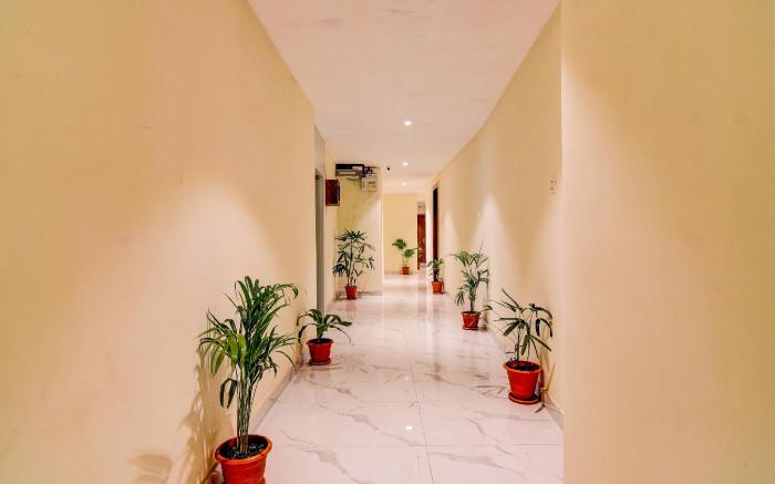 Collection O The Hastings Club