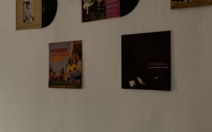 The Vinyl Homestay
